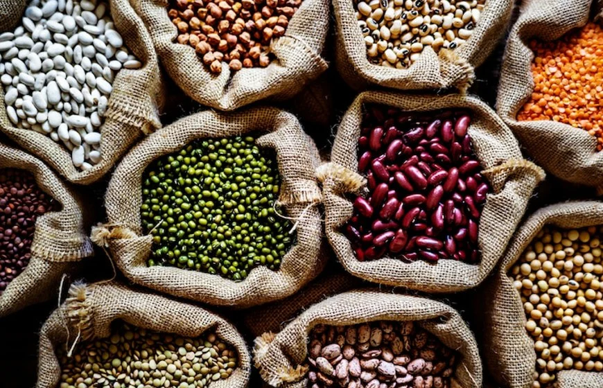 Organic Pulses
